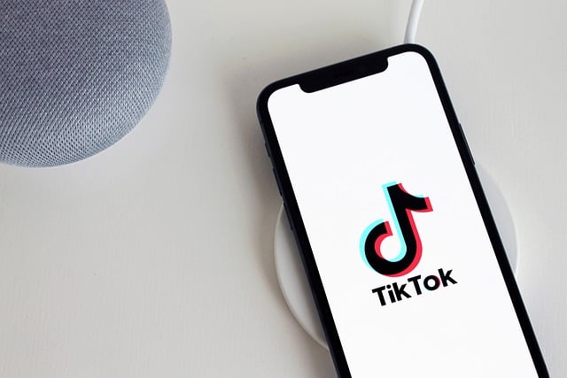 Ninja Xpress Blog Sound Tiktok Viral