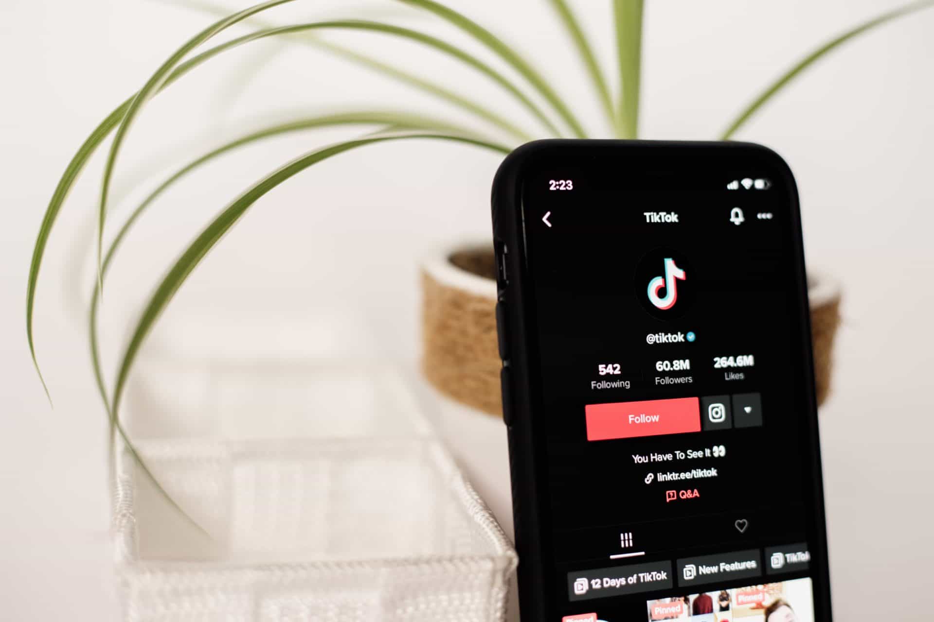 4 platform alternatif Tiktok Shop yang tutup!